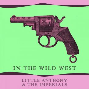 In The Wild West album cover