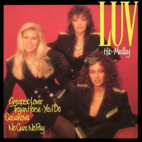 The Luv' Hit-Medley (Vinyl, 12'') (Maxi-Single) album cover