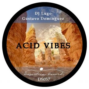Acid Vibes album cover