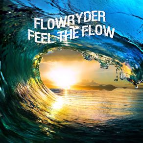 Feel The Flow (Maxi-Single) album cover