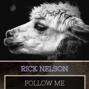 Follow Me album cover