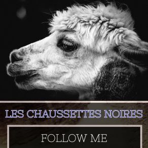 Follow Me album cover