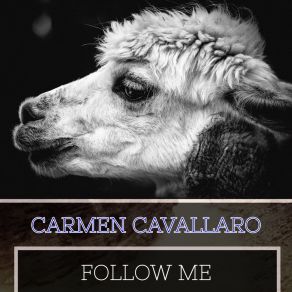 Follow Me album cover