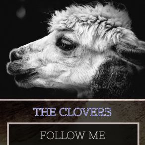 Follow Me album cover