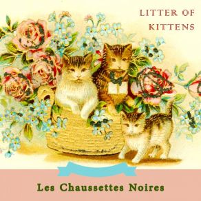 Litter Of Kittens album cover