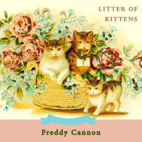 Litter Of Kittens album cover
