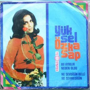 Bu Ayrılık Neden Oldu album cover