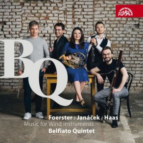 Janáček, Foerster & Haas: Music For Wind Instruments album cover