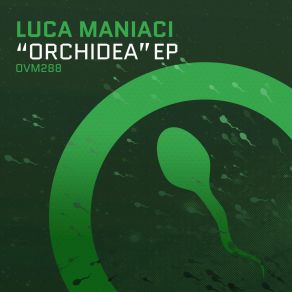 Orchidea album cover