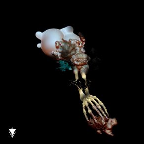 Fractura album cover