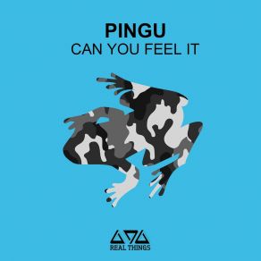 Can You Feel It album cover