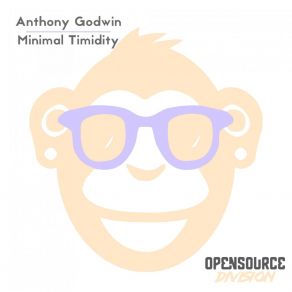 Minimal Timidity album cover