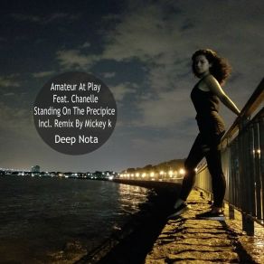 Standing On The Precipice (Remixes) album cover