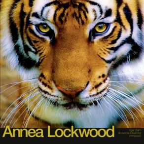 Tiger Balm / Amazonia Dreaming / Immersion (Maxi-Single) album cover