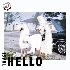 Hello album cover