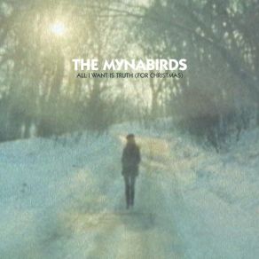 All I Want Is Truth For Christmas (Maxi-Single) album cover