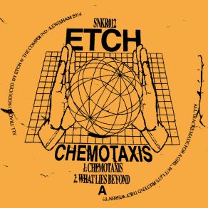 Chemotaxis album cover