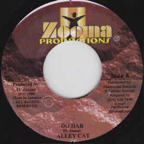 Do Har (Maxi-Single) album cover