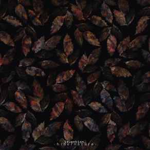 Hibernature album cover