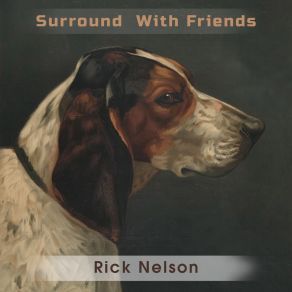Surround With Friends album cover
