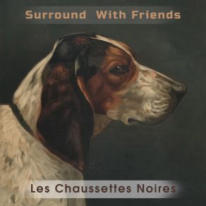 Surround With Friends album cover