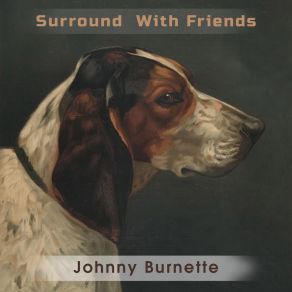 Surround With Friends album cover