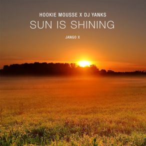 Sun Is Shining album cover