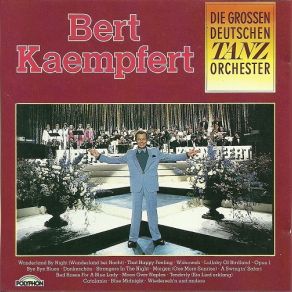 Die Grossen Deutschen Tanzorchester album cover
