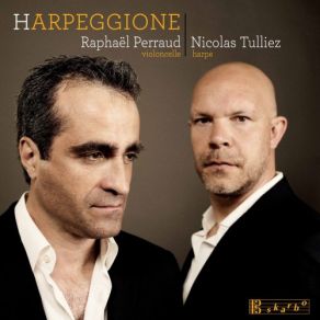 Harpeggione album cover