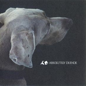 Absolutely Duende album cover