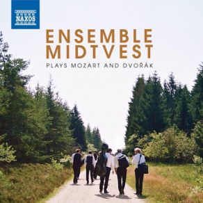 Mozart: Serenade In B-Flat Major (Arr. C. F. G. Schwencke) - Dvořák: Serenade In D Minor (Arr. F. Hertl) album cover