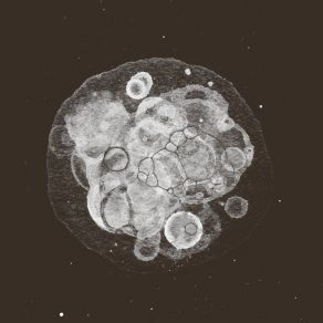Moon Field album cover