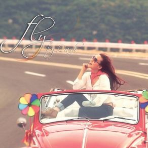 Fly album cover