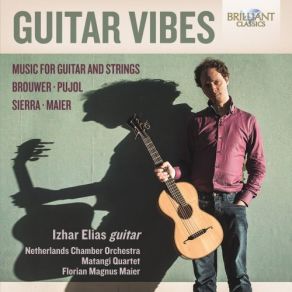 Guitar Vibes: Music For Guitar And Strings album cover