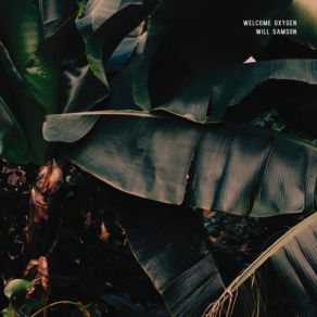 Welcome Oxygen album cover