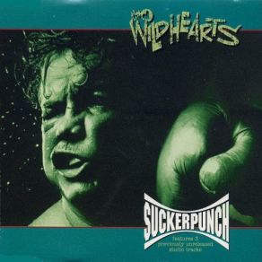 Suckerpunch album cover