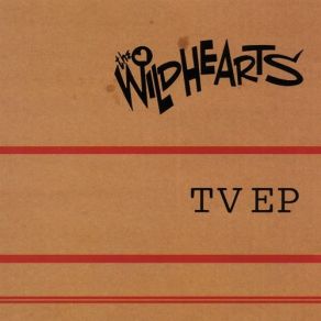 Tv album cover