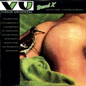 The Plot Thins: A History Of Brand X album cover