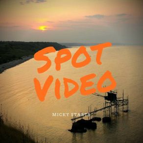 Spot Video album cover