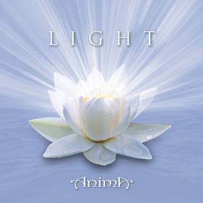 Light album cover