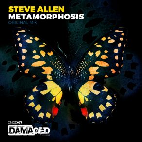 Metamorphosis (Single) album cover