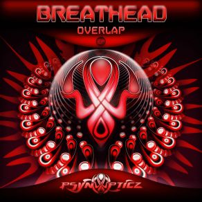Overlap (Maxi-Single) album cover