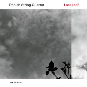 Last Leaf album cover