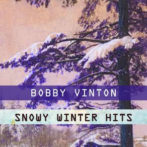 Snowy Winter Hits album cover