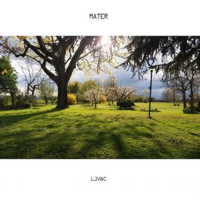 Mater album cover