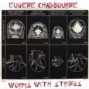Worms With Strings album cover
