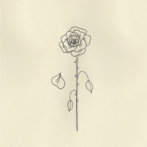 Down / Bruises album cover