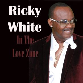 In The Love Zone album cover