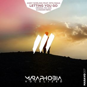 Letting You Go (Maxi-Single) album cover
