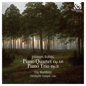 Brahms: Piano Quartet, Op. 60 & Piano Trio, Op. 8 album cover